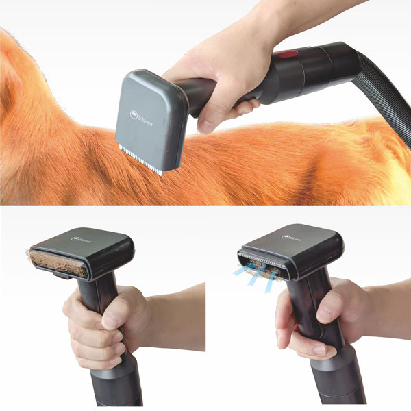 Gforest Pet Vacuum Grooming Brush Hair Wayfair